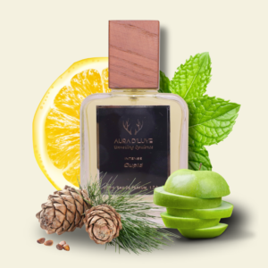 Aura D'Luxe™ Cupid | EDP Spray for Men | Fresh | Fougere Aromatic | Long Lasting